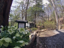 Buckhorn Inn 2015